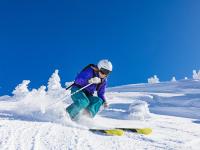 IM电竞APP-猛龙对阵广东队？哈登的完美演出与篮球世界的奇妙想象