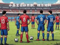 IM电竞官方入口-水晶宫主场作战，期待主场战绩持续提升的简单介绍