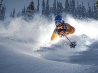 IM电竞注册-奥恰洛夫关键制胜，瑞典队完胜奥地利队背后的团队博弈