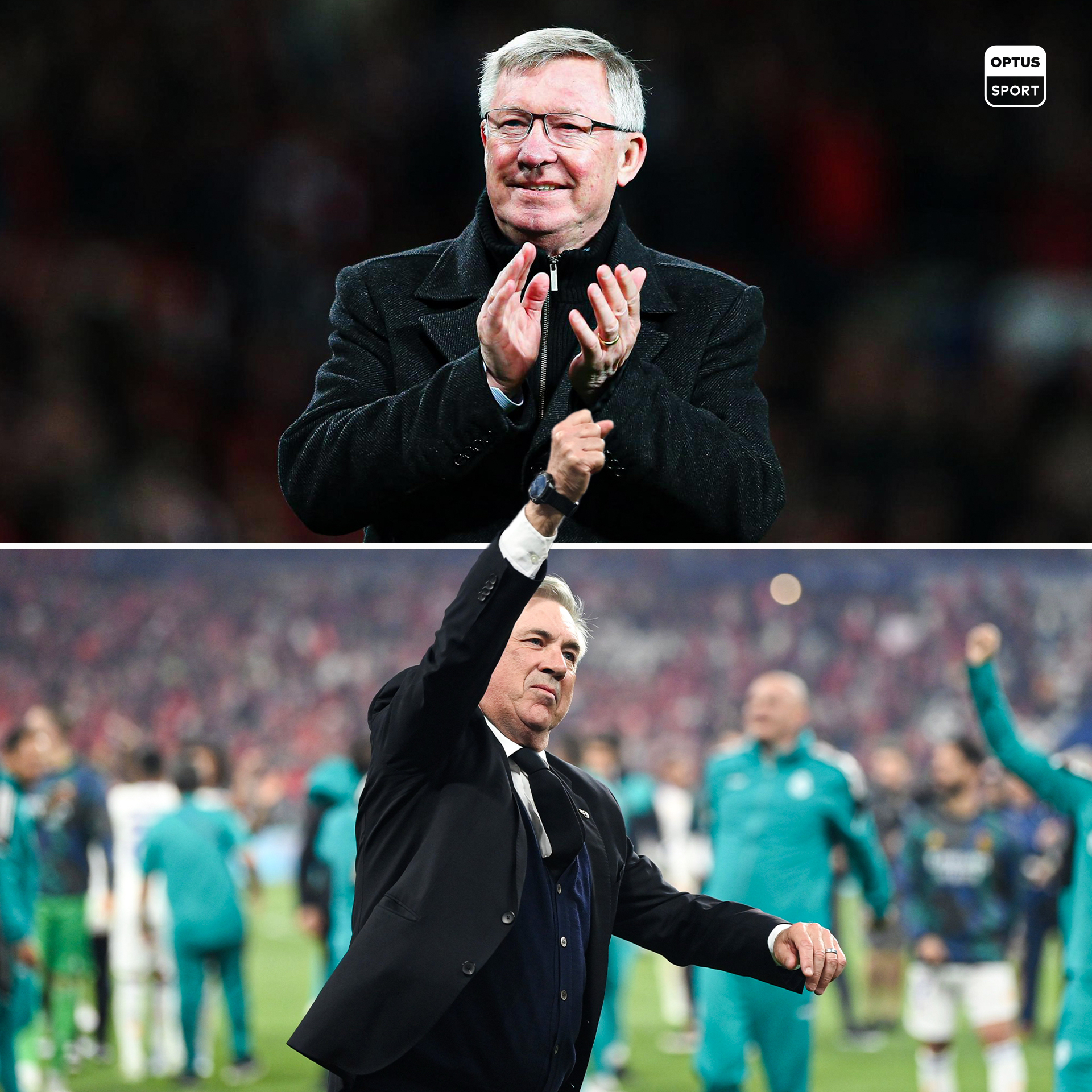 率队获得胜利，球队教练誓带领球队杀进季后赛